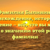 Фамилия Былинин: происхождение, история и склонение — всё, что вы хотели знать о значении этой редкой фамилии