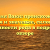 Фамилия Вакк: происхождение, история и значение, склонение и особенности рода в подробном обзоре