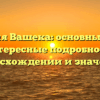 Фамилия Вашека: основные факты и интересные подробности о происхождении и значении