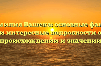 Фамилия Вашека: основные факты и интересные подробности о происхождении и значении