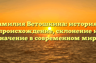 Фамилия Ветошкина: история и происхождение, склонение и значение в современном мире