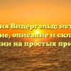 Фамилия Видергольд: история и значение, описание и склонение фамилии на простых примерах