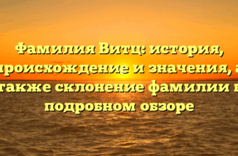 Фамилия Витц: история, происхождение и значения, а также склонение фамилии в подробном обзоре