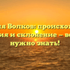 Фамилия Волков: происхождение, история и склонение — всё, что нужно знать!