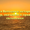 Фамилия Волченко: исторический обзор, значения и правила склонения