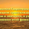 Фамилия Гаврилушкин: исследуем происхождение, историю и значения, и узнаем о склонении этой фамилии