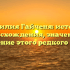 Фамилия Гайченя: история происхождения, значение и склонение этого редкого имени