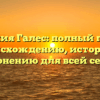 Фамилия Галес: полный гайд по происхождению, истории и склонению для всей семьи