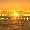 Фамилия Галчонок: корни, история и значение. Узнайте, как правильно склонять эту фамилию.