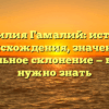Фамилия Гамалий: история происхождения, значение и правильное склонение — все, что нужно знать