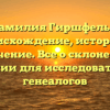 Фамилия Гиршфельд: происхождение, история и значениe. Все о склонении фамилии для исследователей и генеалогов