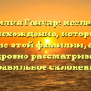 Фамилия Гончар: исследуем происхождение, историю и значение этой фамилии, а также подробно рассматриваем правильное склонение