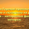 Фамилия Горевая: происхождение, значение и склонение на русском языке — интересные факты и история.