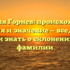 Фамилия Горнев: происхождение, история и значение — все, что вы хотели знать о склонении этой фамилии