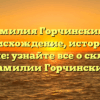 Фамилия Горчинский — происхождение, история и значение: узнайте все о склонении фамилии Горчинский