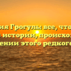 Фамилия Грогуль: все, что нужно знать об истории, происхождении и склонении этого редкого имени