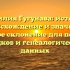 Фамилия Гугунава: история, происхождение и значение, полное склонение для поиска предков и генеалогических данных