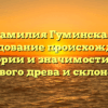 Фамилия Гуминская: исследование происхождения, истории и значимости для родового древа и склонения