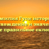 Фамилия Гусо: история, происхождение и значения, а также правильное склонение