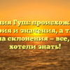 Фамилия Гуш: происхождение, история и значения, а также правила склонения — все, что вы хотели знать!