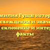 Фамилия Гуща: история происхождения и значения, полное склонение и интересные факты