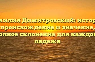 Фамилия Димитровский: история, происхождение и значение, полное склонение для каждого падежа Фамилия Димитровский: история, происхождение и значение, полное склонение для каждого падежа