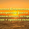 Фамилия Добровольский: интересные факты о происхождении, истории и значении + правила склонения!