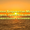 Фамилия Доброхотов-Майков: история, происхождение и правильное склонение