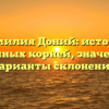 Фамилия Доний: история исконных корней, значения и варианты склонения