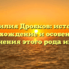 Фамилия Дробков: история, происхождение и особенности склонения этого рода имени