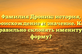 Фамилия Дроник: история, происхождение и значение. Как правильно склонять именитую форму?