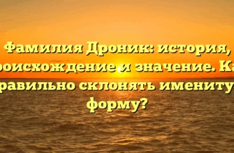 Фамилия Дроник: история, происхождение и значение. Как правильно склонять именитую форму? Фамилия Дроник: история, происхождение и значение. Как правильно склонять именитую форму?