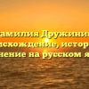 Фамилия Дружинин: происхождение, история и склонение на русском языке