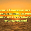 Фамилия Елохина: история происхождения, значения и склонение для генеалогических исследований