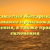 Фамилия Жигарина: исследование происхождения и значения, а также правила склонения