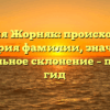 Фамилия Жорняк: происхождение и история фамилии, значение и правильное склонение – полный гид