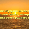 Фамилия Жубрин: исследование происхождения, истории и значения этого редкого имени