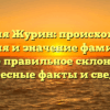 Фамилия Журин: происхождение, история и значение фамилии, а также правильное склонение — интересные факты и сведения
