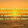 Фамилия Какоткин: происхождение и значение, история и правильное склонение – все, что нужно знать