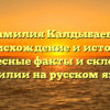 Фамилия Калдыбаева: происхождение и история, интересные факты и склонение фамилии на русском языке