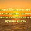 Фамилия Калевич: история происхождения, значение и правильное склонение — всё, что нужно знать