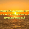 Фамилия Камолин: история, значения и склонение — все, что нужно знать!