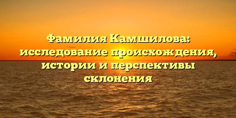 Фамилия Камшилова: исследование происхождения, истории и перспективы склонения