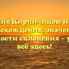 Фамилия Кирпичиков: история происхождения, значение и особенности склонения — узнайте всё здесь!