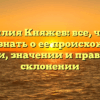Фамилия Княжев: все, что вы хотели знать о ее происхождении, истории, значении и правильном склонении