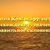 Фамилия Кожокару: история, происхождение, значение и правильное склонение