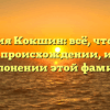 Фамилия Кокшин: всё, что нужно знать о происхождении, истории и склонении этой фамилии