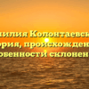 Фамилия Колонтаевский: история, происхождение и особенности склонения