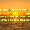 Фамилия Колосовский: происхождение, история и значение — все, что вы хотели знать о своих корнях.