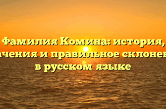 Фамилия Комина: история, значения и правильное склонение в русском языке